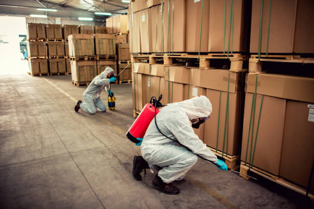 Flea Control Services in Coushatta, LA
