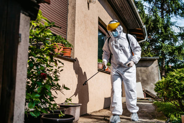 Best Flea Control Services  in Coushatta, LA
