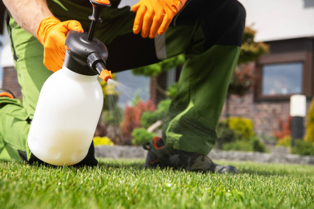 Best Pest Removal Services  in Coushatta, LA
