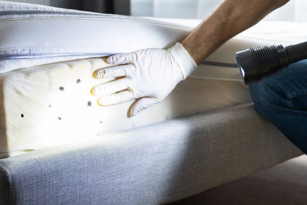 Best Affordable Pest Control Services  in Coushatta, LA