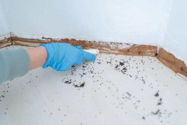 Best Residential Pest Control  in Coushatta, LA
