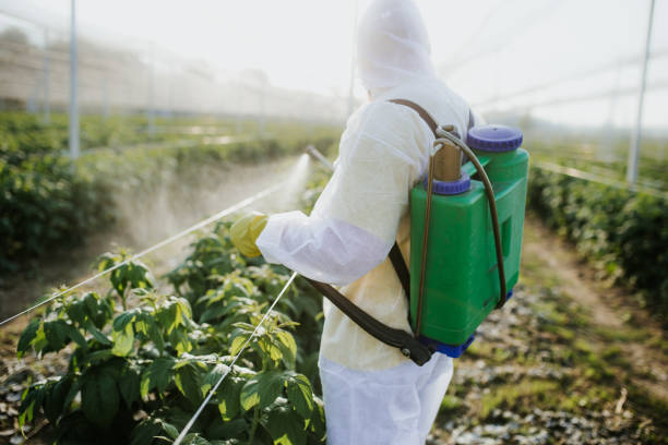 Best Rat Extermination Near Me  in Coushatta, LA